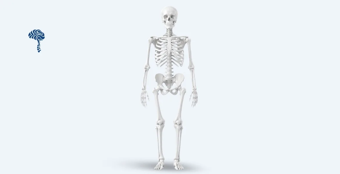 Orthopaedics